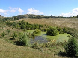 1415835_1.jpg