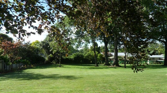 1415870_3.jpg