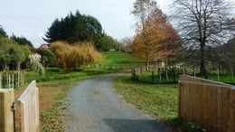 1450478_1.jpg