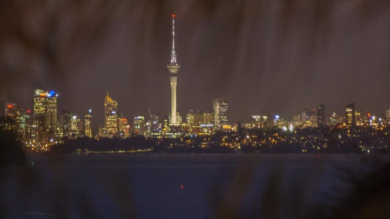 1550017_3.jpg