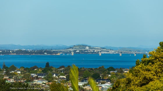 1550392_3.jpg