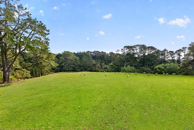 1570468_1.jpg