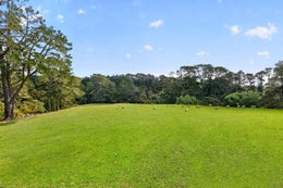 1570468_1.jpg