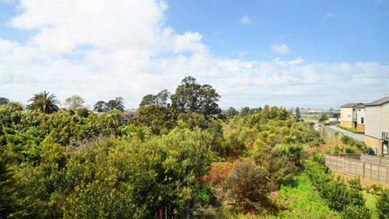 1610166_3.jpg