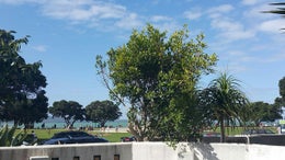 1610316_1.jpg