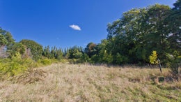 1630060_1.jpg
