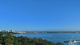 1650290_1.jpg