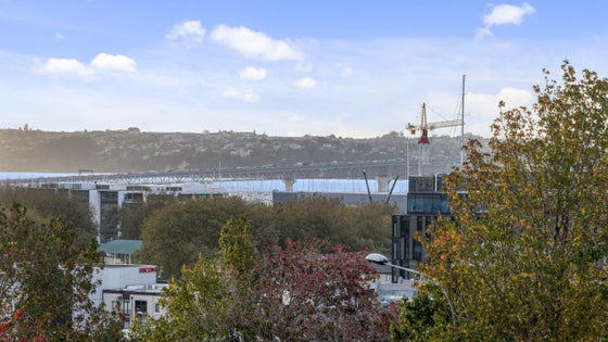 1651384_2.jpg