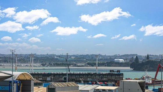1652574_2.jpg