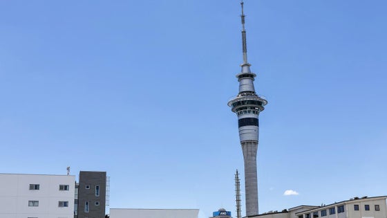 1652777_3.jpg