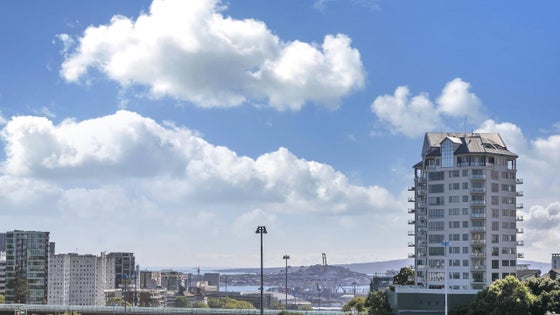 1653614_3.jpg