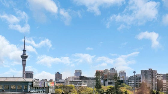 1654499_3.jpg