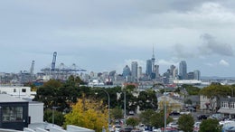 1654982_1.jpg