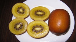 1682613_1.jpg