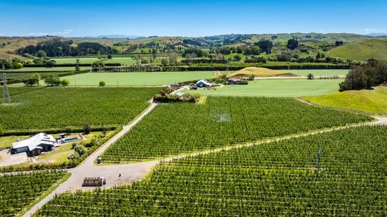 16910272_2.jpg
