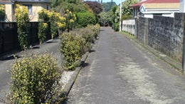 1700028_1.jpg