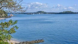 1750793_1.jpg