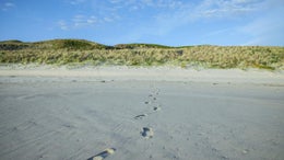 1750956_1.jpg