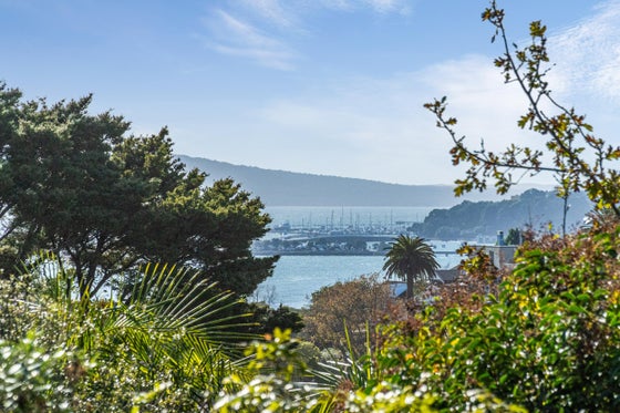 Residential Asking Price NZ$1,690,000: 49A Seaview Road, Remuera ...
