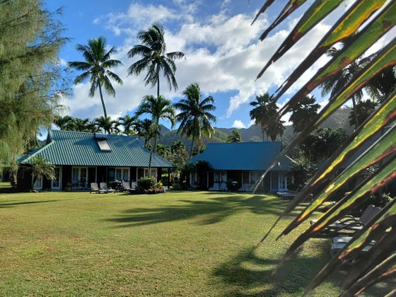 1781579_3.jpg