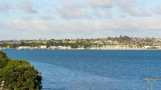 1800364_3.jpg