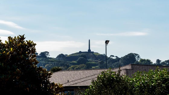 1800452_3.jpg