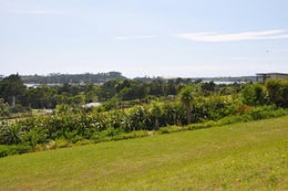 1810397_1.jpg