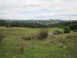 1810463_1.jpg