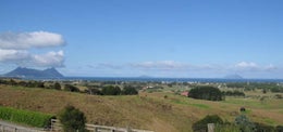 1810659_1.jpg
