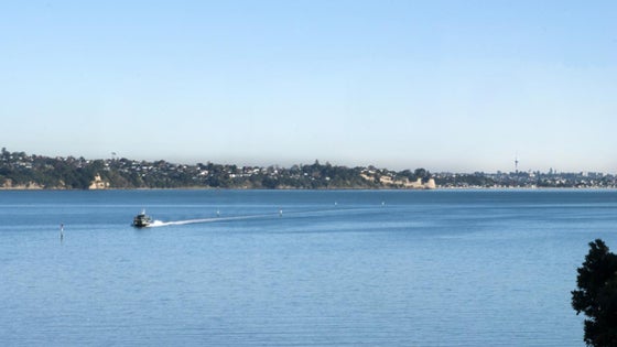 1850184_3.jpg
