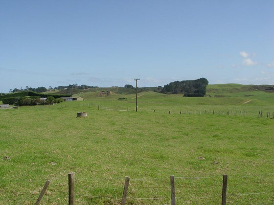 185093_3.jpg