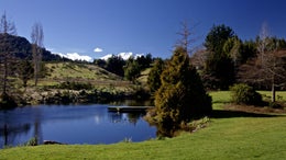 1851238_1.jpg