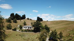 1851374_1.jpg