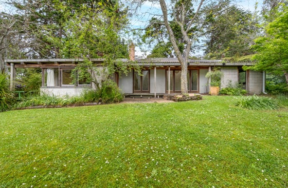 1853044_3.jpg