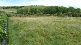 185948_1.jpg