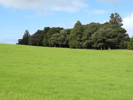 186867_2.jpg