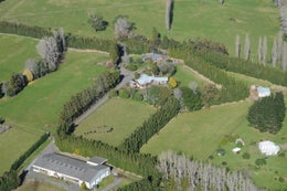 187135_1.jpg