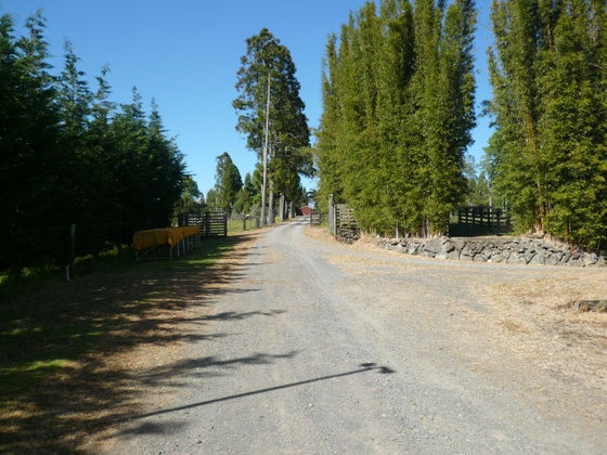 187135_2.jpg