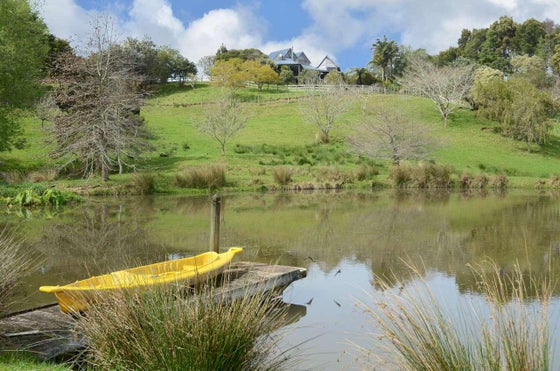 Lifestyle Auction: 133 Worsp Road, Whangārei Surrounds, Whangārei | Bayleys