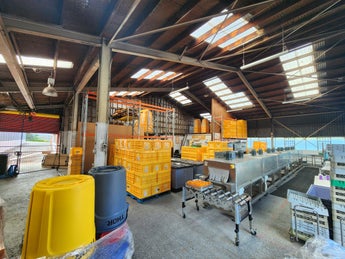 1905814_1.jpg