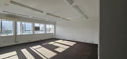 1905859_1.jpg
