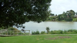 1950458_1.jpg