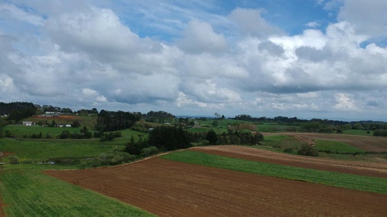 1951357_3.jpg