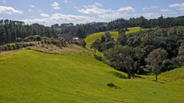 1970384_1.jpg