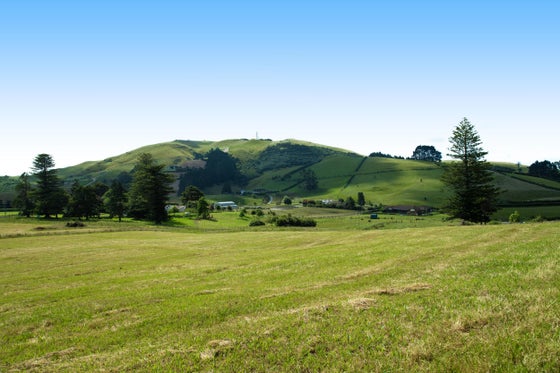 1972615_2.jpg