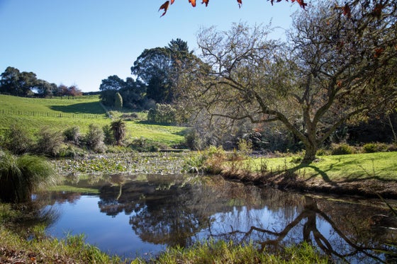 1973158_2.jpg