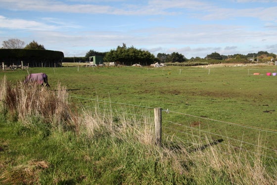 212888_2.jpg
