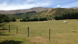 213554_1.jpg