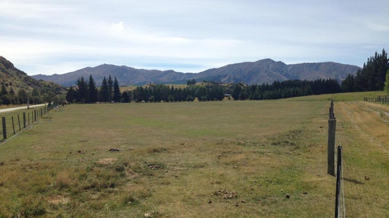 213554_3.jpg