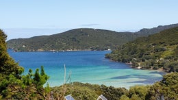 2151468_1.jpg